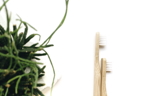 bamboo toothbrush green