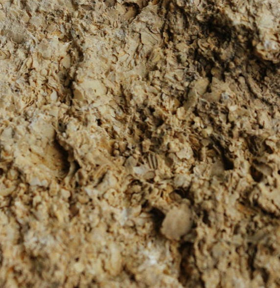 Calcium Carbonate